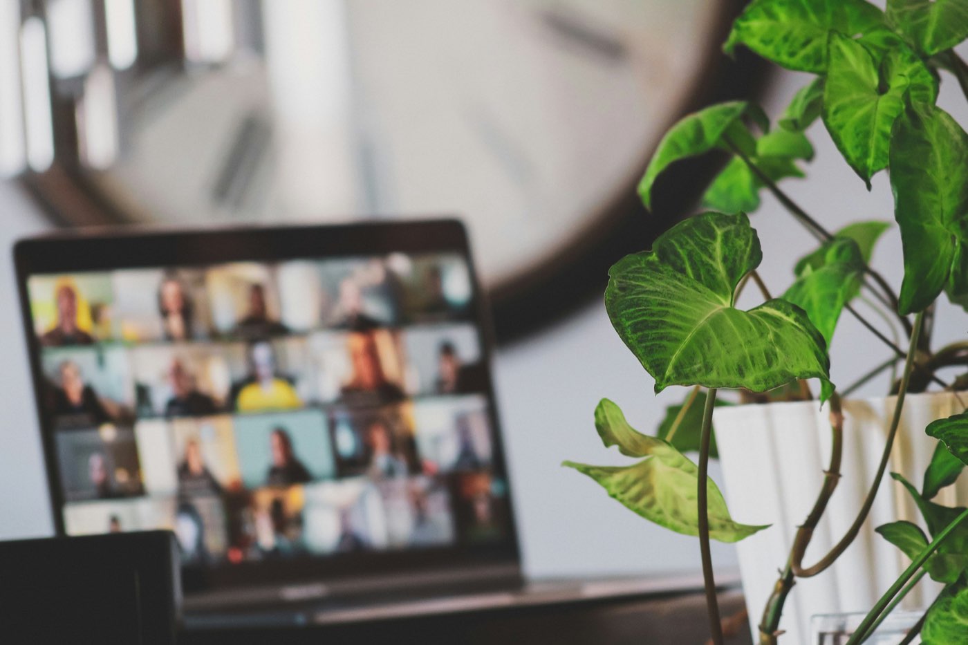 A green plant beside a laptop showing a small online group gathering